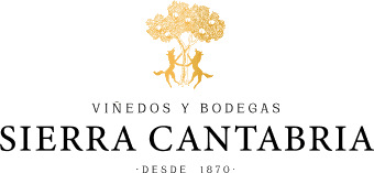 Viñedos de San Vicente